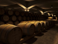Castra Rubra Wine Cellar